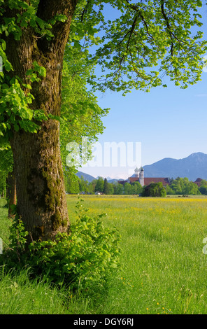 Benediktbeuern Kloster - Abbazia di Benediktbeuern 04 Foto Stock