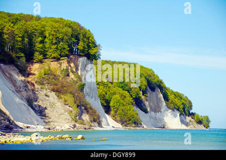 Chalk scogliere a Jasmund National Park, Mar Baltico, Penisola Jasmund, Isola di Ruegen, Meclemburgo-Pomerania Occidentale Foto Stock