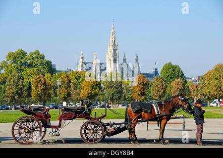 Fiaker, carrozza trainata da cavalli con un autista davanti al Municipio di Vienna, Vienna, Austria, Europa Foto Stock