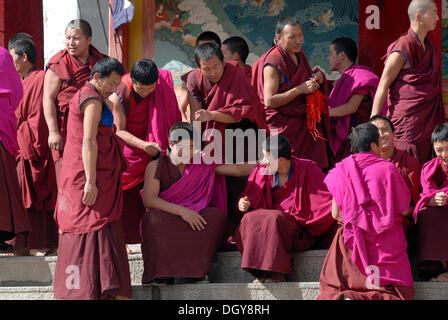 Monaci Tibetani che indossa vesti della Gelug o Gelug-pa fine seduta nella parte anteriore del gruppo Hall, Dukhang tibetano Foto Stock