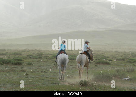 Due piccoli bambini mongola, ragazzi di equitazione in prati secchi su bianco cavalli mongola, Lun Toev Aimak, Mongolia, Asia Foto Stock