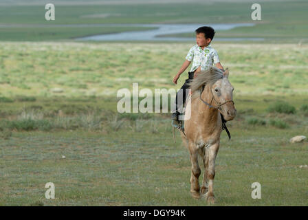 Piccolo 6-anno-vecchio ragazzo mongolo di rottura in un brioso cavallo mongolo nei prati secchi, Lun Toev Aimak, Mongolia, Asia Foto Stock