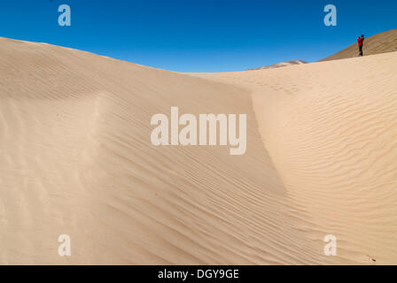 Escursionista femmina di fotografare le dune di sabbia del Yarlung Tsangpo e fiume Brahmaputra area con l'Himalayan crinale principale a Foto Stock