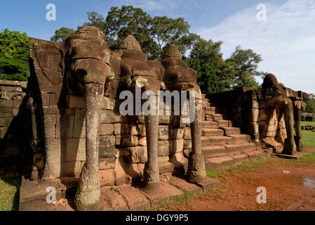 Elefante in pietra sculture sul terrazzo di elefante, Angkor Wat tempio complesso, Siem Reap, Cambogia, Indocina, sud-est asiatico Foto Stock