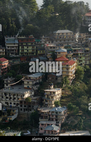 Edifici residenziali di esiliati tibetani con cedri, Superiore Dharamsala, McLeod Ganj, Himachal Pradesh, Himalaya, India, Asia Foto Stock