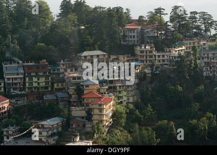 Edifici residenziali di esiliati tibetani con cedri, Superiore Dharamsala, McLeod Ganj, Himachal Pradesh, Himalaya, India, Asia Foto Stock