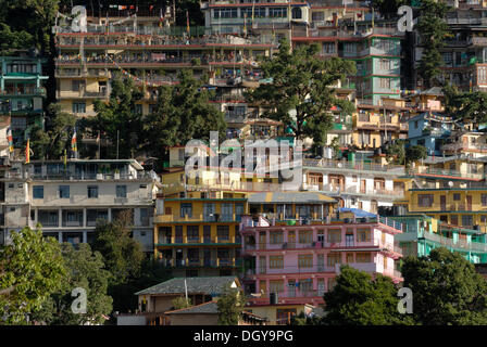 Edifici residenziali di esiliati tibetani con cedri, Superiore Dharamsala, McLeod Ganj, Himachal Pradesh, Himalaya, India, Asia Foto Stock