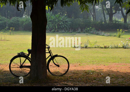 Bicicletta parcheggiata sotto un albero presso il sito archeologico dell'antica Università di Nalanda, Ragir, Bihar, in India, Asia Foto Stock