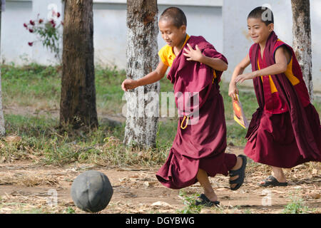 Giovani monaci a giocare a calcio, dei rifugiati tibetani insediamento a Bylakuppe, Distretto di Mysore, Karnataka, India meridionale, India, Asia Foto Stock