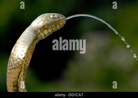 Testa di serpente come una fontana, Heritage Hotel Taj ushan Kiran Palace, Gwalior, Madhya Pradesh, India del Nord, India, Asia Foto Stock