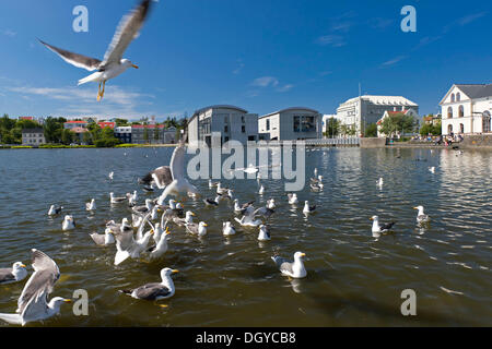 Il municipio e Tjoernin, città lago nel centro di Reykjavik, Islanda, Europa Foto Stock