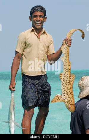 Fisherman tenendo un avvistato squalo, vicino a Bangaram Island, delle Laccadive o isole Laccadive, Mare Arabico, Sud India, India, Asia Foto Stock