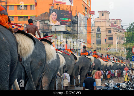 Pujaris seduta su elefanti sulla strada per il tempio indù Pooram festival, Thrissur, Kerala, India meridionale, Asia Foto Stock