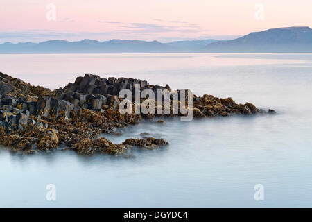 Il basalto formazioni rocciose sulla costa vicino a Hofsós, Skagafjoerdur Bay, a nord dell'Islanda, Islanda, Europa Foto Stock