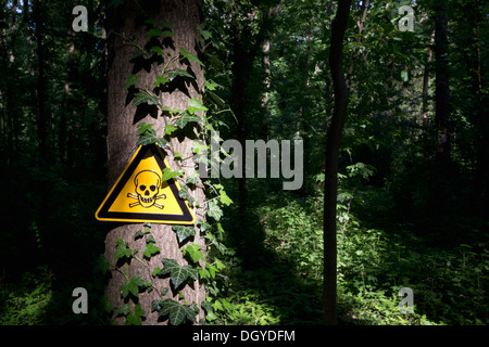 Un Teschio e Ossa Croce segno di avvertimento inviato su un albero in una oscura area boschiva Foto Stock