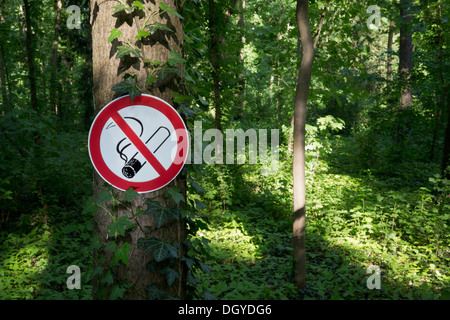 Una per non fumatori il segno inviato su un tronco di albero in una zona boschiva Foto Stock