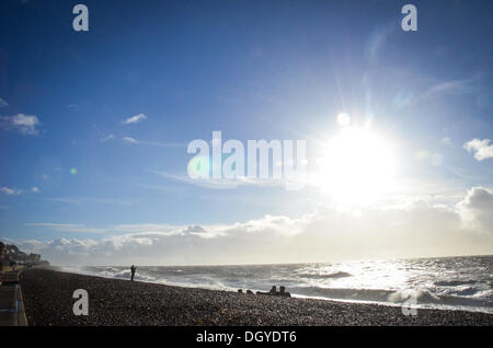 Sandgate, Kent, Regno Unito. 28 ott 2013. Elevata forza dei venti della st Jude tempesta colpisce il britannico della costa meridionale nelle prime ore di lunedì mattina. Sandgate, Kent, Regno Unito. Lunedì 28 Ottobre 2013. La tempesta, denominato St Jude, ha portato la windiest meteo a colpire il Regno Unito dal 1987. Credito: Kevin Bennett/Alamy Live News Foto Stock