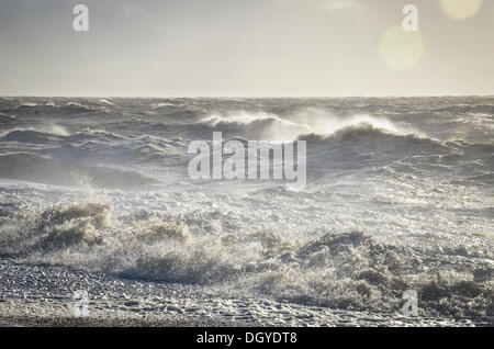 Sandgate, Kent, Regno Unito. 28 ott 2013. Elevata forza dei venti della st Jude tempesta colpisce il britannico della costa meridionale nelle prime ore di lunedì mattina. Sandgate, Kent, Regno Unito. Lunedì 28 Ottobre 2013. La tempesta, denominato St Jude, ha portato la windiest meteo a colpire il Regno Unito dal 1987. Credito: Kevin Bennett/Alamy Live News Foto Stock