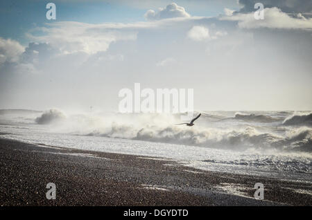 Sandgate, Kent, Regno Unito. 28 ott 2013. Elevata forza dei venti della st Jude tempesta colpisce il britannico della costa meridionale nelle prime ore di lunedì mattina. Sandgate, Kent, Regno Unito. Lunedì 28 Ottobre 2013. La tempesta, denominato St Jude, ha portato la windiest meteo a colpire il Regno Unito dal 1987. Credito: Kevin Bennett/Alamy Live News Foto Stock