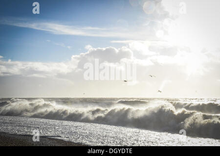 Sandgate, Kent, Regno Unito. 28 ott 2013. Elevata forza dei venti della st Jude tempesta colpisce il britannico della costa meridionale nelle prime ore di lunedì mattina. Sandgate, Kent, Regno Unito. Lunedì 28 Ottobre 2013. La tempesta, denominato St Jude, ha portato la windiest meteo a colpire il Regno Unito dal 1987. Credito: Kevin Bennett/Alamy Live News Foto Stock