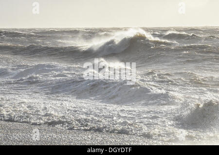 Sandgate, Kent, Regno Unito. 28 ott 2013. Elevata forza dei venti della st Jude tempesta colpisce il britannico della costa meridionale nelle prime ore di lunedì mattina. Sandgate, Kent, Regno Unito. Lunedì 28 Ottobre 2013. La tempesta, denominato St Jude, ha portato la windiest meteo a colpire il Regno Unito dal 1987. Credito: Kevin Bennett/Alamy Live News Foto Stock