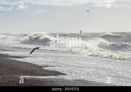 Sandgate, Kent, Regno Unito. 28 ott 2013. Elevata forza dei venti della st Jude tempesta colpisce il britannico della costa meridionale nelle prime ore di lunedì mattina. Sandgate, Kent, Regno Unito. Lunedì 28 Ottobre 2013. La tempesta, denominato St Jude, ha portato la windiest meteo a colpire il Regno Unito dal 1987. Credito: Kevin Bennett/Alamy Live News Foto Stock