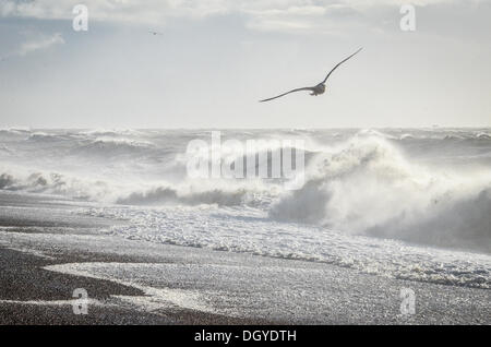 Sandgate, Kent, Regno Unito. 28 ott 2013. Elevata forza dei venti della st Jude tempesta colpisce il britannico della costa meridionale nelle prime ore di lunedì mattina. Sandgate, Kent, Regno Unito. Lunedì 28 Ottobre 2013. La tempesta, denominato St Jude, ha portato la windiest meteo a colpire il Regno Unito dal 1987. Credito: Kevin Bennett/Alamy Live News Foto Stock