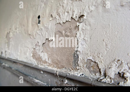 Nitre o saltpeter in muratura da penetrare umidità dall'esterno, la fioccatura calce, Stoccarda, Baden-Wuerttemberg Foto Stock