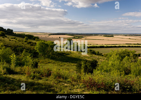 Broughton giù; nord-rivolta verso chalk downland scarpata, gestito come riserva naturale da Hampshire Wildlife Trust. Foto Stock