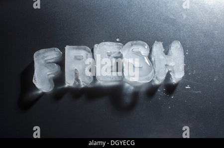 'Freschi' enunciato in ghiaccio Foto Stock