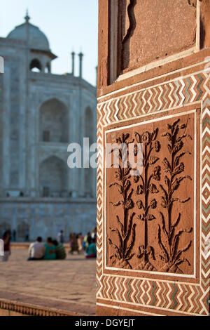 Rilievo con motivi floreali in pietra arenaria, Taj Mahal, Mausoleo, Sito Patrimonio Mondiale dell'UNESCO, Agra, Uttar Pradesh, India Foto Stock