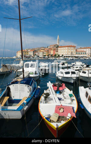 Le barche nel porto di Rovigno, Istria, Croazia, Europa Foto Stock