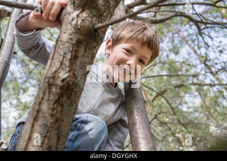 Un giovane ragazzo allegro sale su un albero Foto Stock