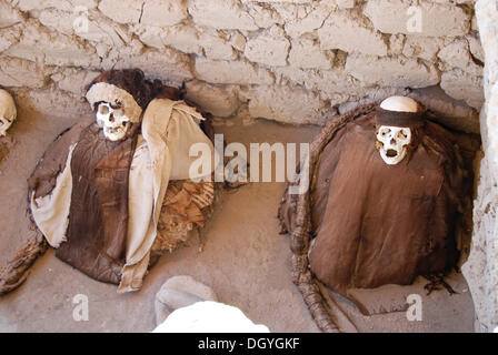 Le mummie della cultura Ica-Chincha, il Cimitero di Chauchilla, Nasca o Nazca, Perù, Sud America Foto Stock