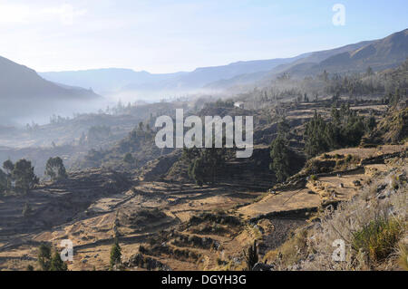 Vista della valle e nei pressi di maca Canyon del Colca, Perù, Sud America, America latina Foto Stock