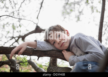 Un ragazzo di sereno relax su un ramo di albero ha scalato Foto Stock