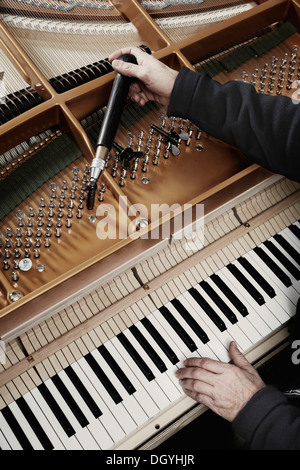 Un aggiustatore lavorando su un pianoforte a coda Foto Stock