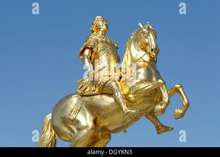 Golden rider statua, Dresda, Firenze dell'Elba, Sassonia Foto Stock