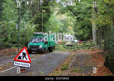 Epsom Surrey, Inghilterra, Regno Unito. Il 28 ottobre 2013. St Jude tempesta ha imperversato attraverso il sud della Gran Bretagna per tutta la notte. Qui in Ashley Road, Epsom un albero caduto è stata cancellata dal consiglio operai.La tempesta, denominato St Jude, ha portato la windiest meteo a colpire il Regno Unito dal 1987. Credito: Giubileo Immagini/Alamy Live News Foto Stock