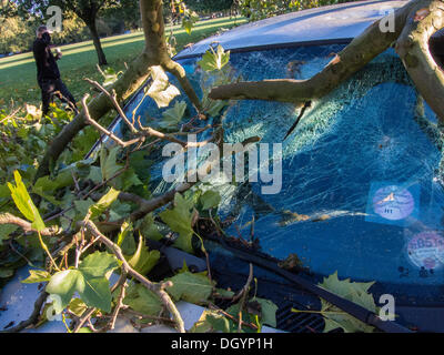 Nightingale Lane, Clapham, London, Regno Unito . 28 ott 2013. Una parte di un albero cade su una Jaguar berlina come risultato della tempesta. L'interno della vettura non appare danneggiato in modo che si presume che gli occupanti abbandonato le loro auto in quanto non è in uno spazio di parcheggio ma al centro della corsia. Un'altra auto in uno spazio per il parcheggio sulla strada è anche danneggiato. I pendolari e i bambini delle scuole sul loro modo a un ritardo nella linea del Nord a Clapham South, smettere di guardare e scattare foto.La tempesta, denominato St Jude, ha portato la windiest meteo a colpire il Regno Unito dal 1987. Credito: Guy Bell/Alamy Live News Foto Stock