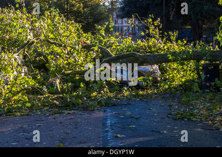 Nightingale Lane, Clapham, London, Regno Unito . 28 ott 2013. Una parte di un albero cade su una Jaguar berlina come risultato della tempesta. L'interno della vettura non appare danneggiato in modo che si presume che gli occupanti abbandonato le loro auto in quanto non è in uno spazio di parcheggio ma al centro della corsia. Un'altra auto in uno spazio per il parcheggio sulla strada è anche danneggiato. I pendolari e i bambini delle scuole sul loro modo a un ritardo nella linea del Nord a Clapham South, smettere di guardare e scattare foto.La tempesta, denominato St Jude, ha portato la windiest meteo a colpire il Regno Unito dal 1987. Credito: Guy Bell/Alamy Live News Foto Stock