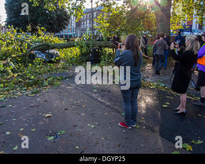 Nightingale Lane, Clapham, London, Regno Unito . 28 ott 2013. Una parte di un albero cade su una Jaguar berlina come risultato della tempesta. L'interno della vettura non appare danneggiato in modo che si presume che gli occupanti abbandonato le loro auto in quanto non è in uno spazio di parcheggio ma al centro della corsia. Un'altra auto in uno spazio per il parcheggio sulla strada è anche danneggiato. I pendolari e i bambini delle scuole sul loro modo a un ritardo nella linea del Nord a Clapham South, smettere di guardare e scattare foto.La tempesta, denominato St Jude, ha portato la windiest meteo a colpire il Regno Unito dal 1987. Credito: Guy Bell/Alamy Live News Foto Stock