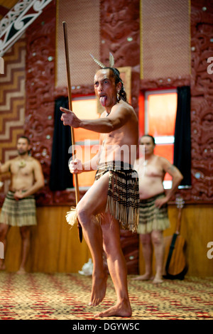 Uomo Maori danza tradizionale Foto Stock