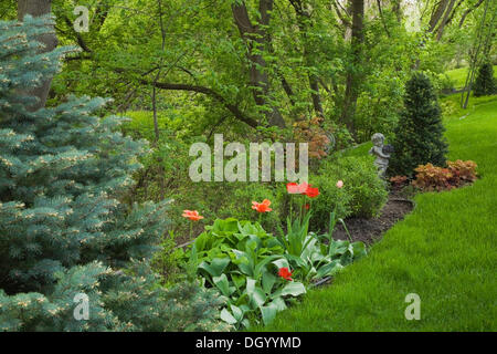 Giardino confine con tulipani rossi in un residenziale paesaggistico giardino nel cortile in primavera, Quebec, Canada - Questa immagine è di proprietà Foto Stock