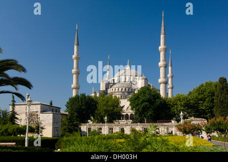 Sultan Ahmed Moschea Sultanahmet Camii o Moschea Blu, Istanbul, Turchia Foto Stock