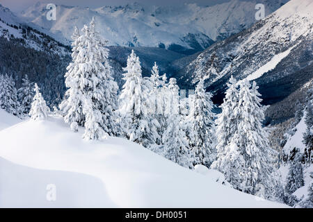 Paesaggio invernale, Ofen Pass, Swiss National Park, Grigioni, Svizzera, Europa Foto Stock