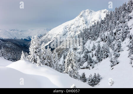 Paesaggio invernale, Ofen Pass, Swiss National Park, Grigioni, Svizzera, Europa Foto Stock