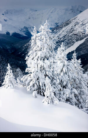 Paesaggio invernale, Ofen Pass, Swiss National Park, Grigioni, Svizzera, Europa Foto Stock