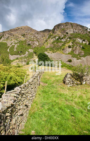 Muri a secco, recinzione, St Johns in the Vale, Lake District, England, Regno Unito Foto Stock