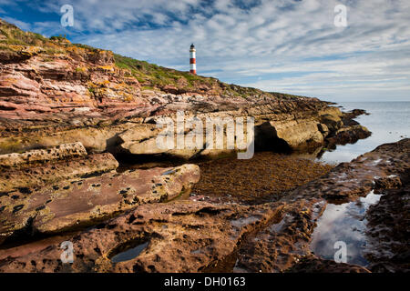 Scogliere rosse e del faro, Tarbat Ness, Scotland, Regno Unito Foto Stock